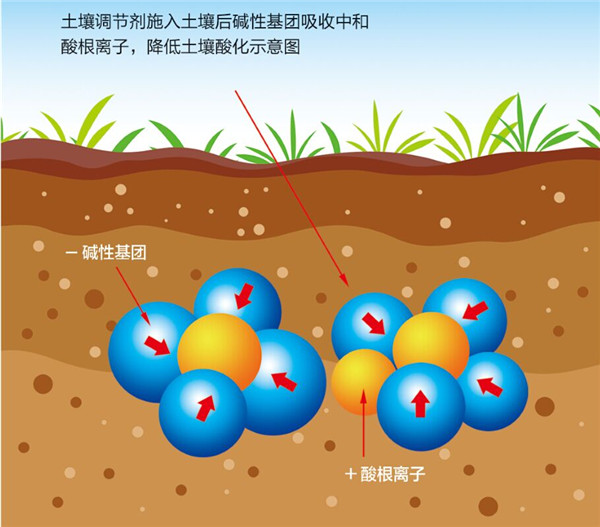 土壤是農(nóng)業(yè)的基礎，保護土壤，從現(xiàn)在開始